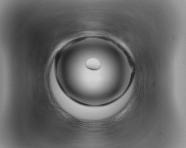 X0000114561365200910191423