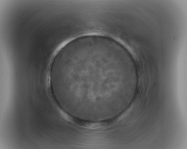 X0000114561367200910191423