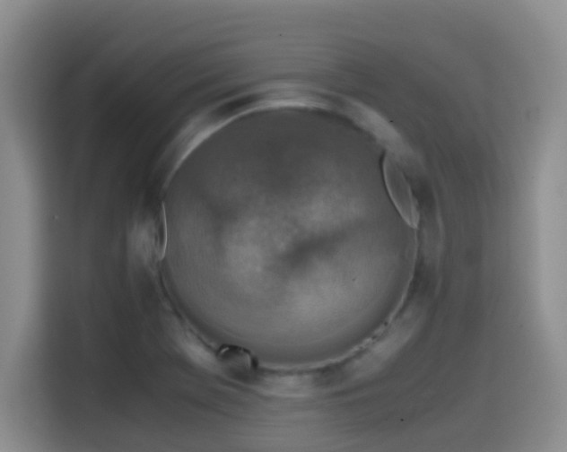 X0000114561369200910191423