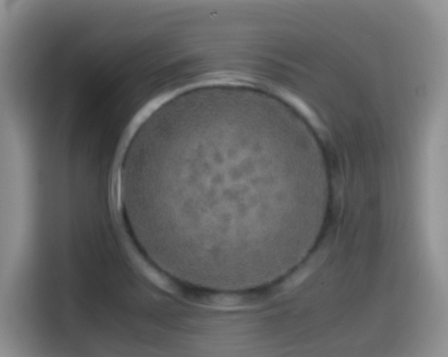 X0000114561371200910191423