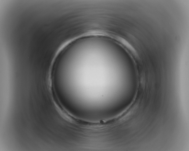 X0000114561372200910191423