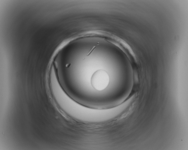 X0000114561373200910191423