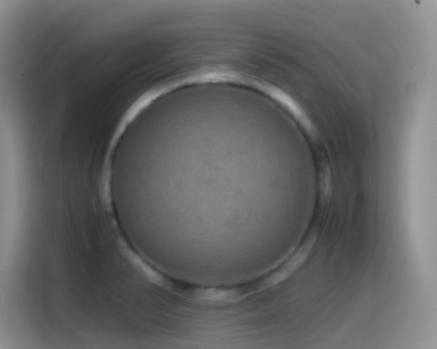 X0000114561374200910191423