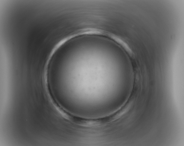 X0000114561375200910191423