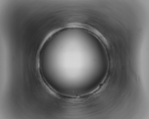 X0000114561376200910191423