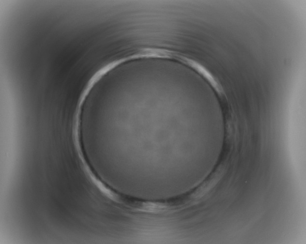 X0000114561379200910191423