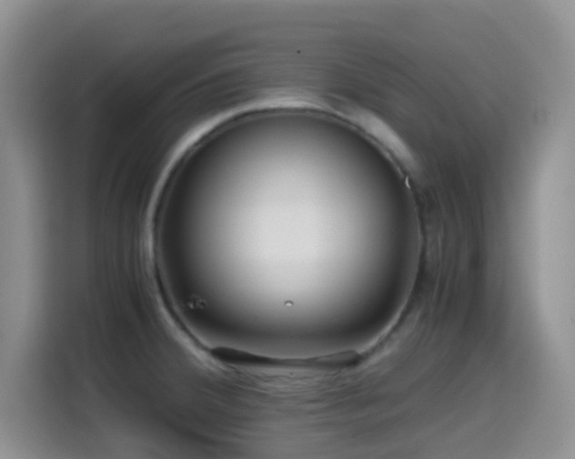 X0000114561380200910191423
