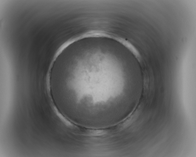 X0000114561382200910191423