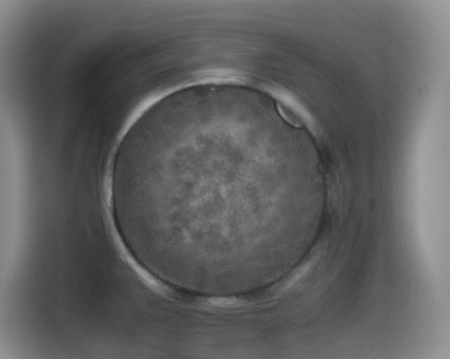 X0000114561383200910191423