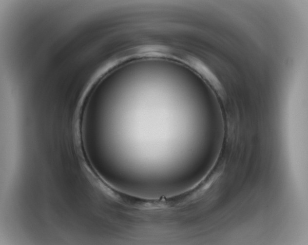 X0000114561384200910191423