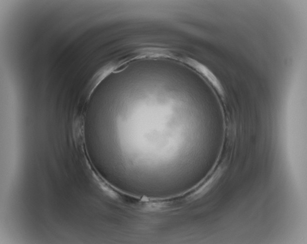 X0000114561385200910191423