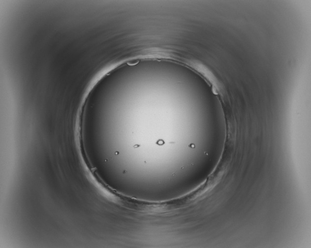X0000114561387200910191423