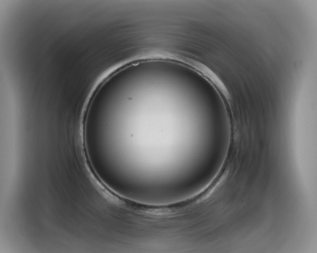 X0000114561388200910191423