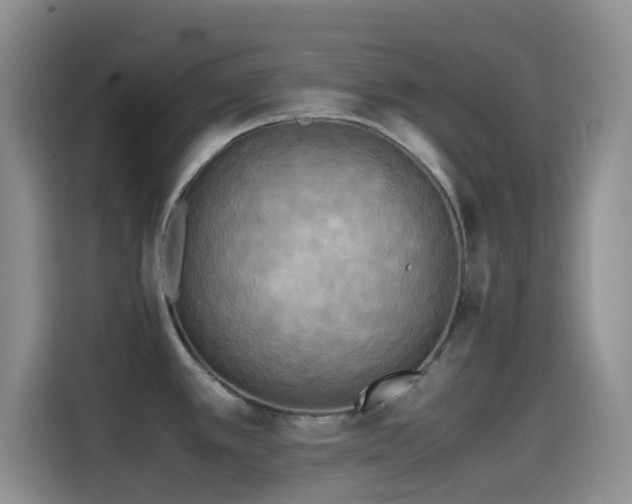 X0000114561389200910191423