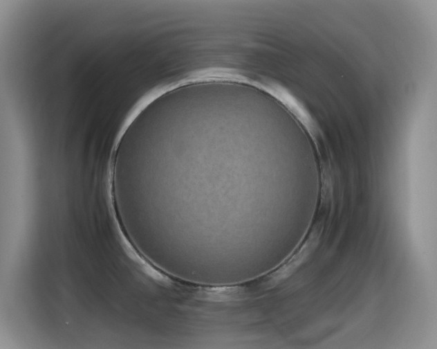 X0000114561390200910191422