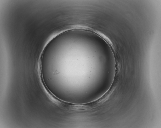 X0000114561391200910191422