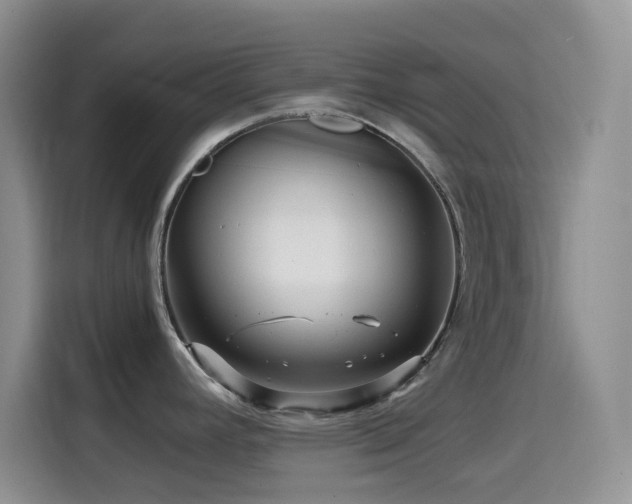 X0000114561392200910191422