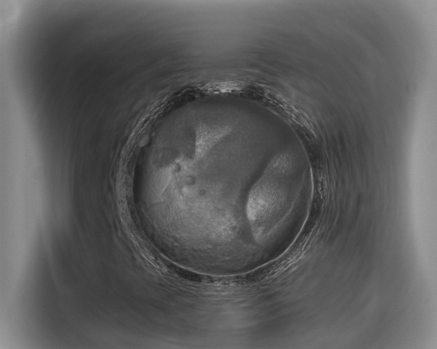 X0000114561393200910191422