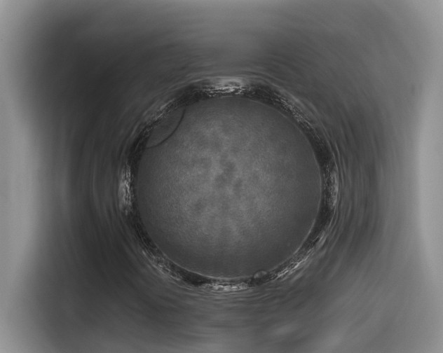 X0000114561394200910191422