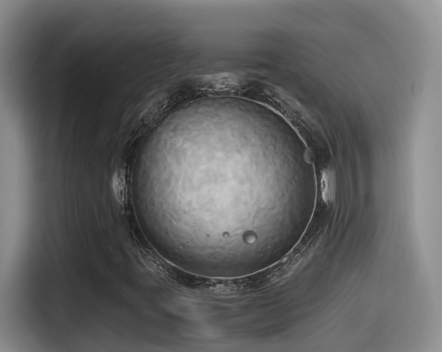 X0000114561395200910191422