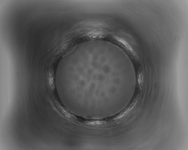 X0000114561396200910191422