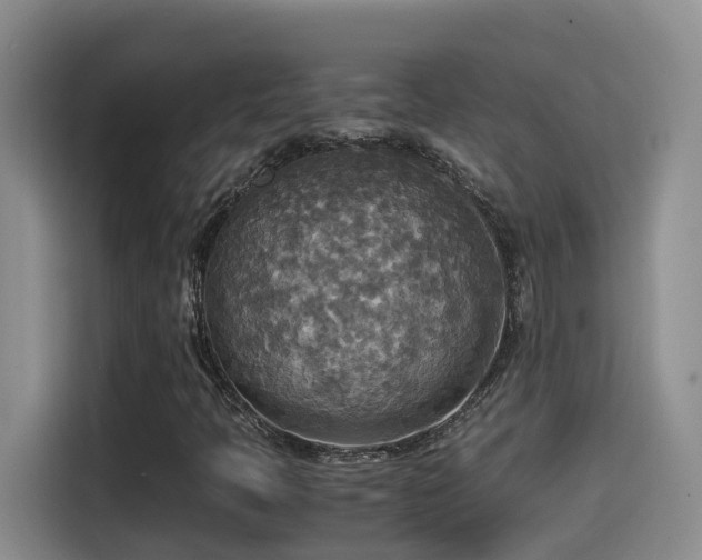 X0000114561397200910191422