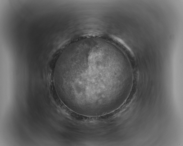 X0000114561399200910191422