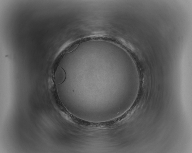 X0000114561400200910191422