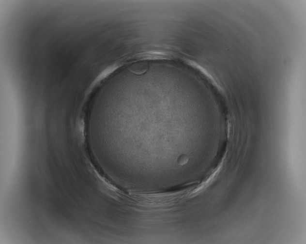 X0000114561402200910191422