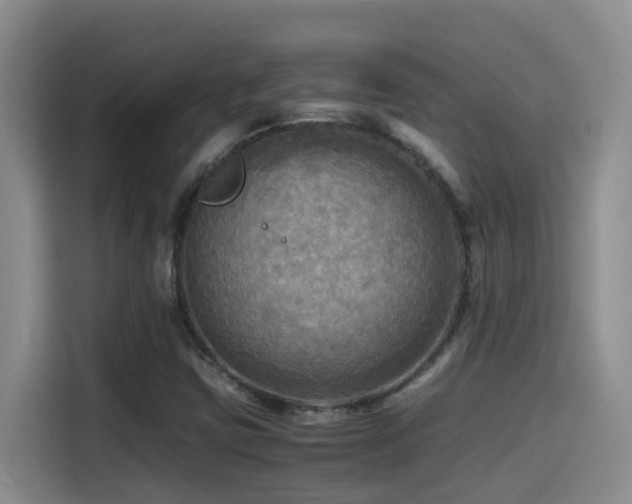 X0000114561403200910191422