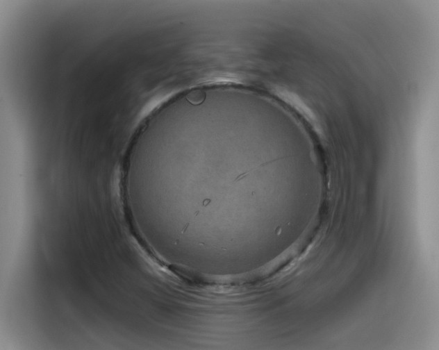 X0000114561404200910191422