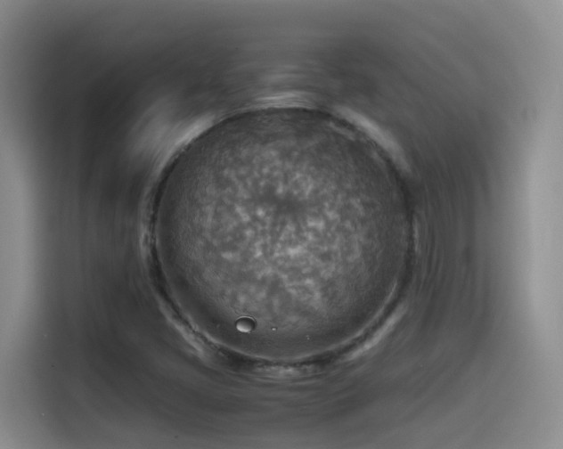 X0000114561405200910191422