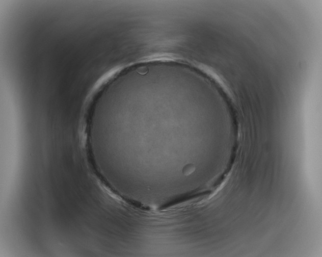 X0000114561406200910191422