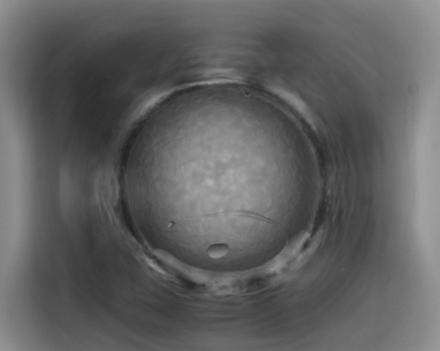 X0000114561407200910191422