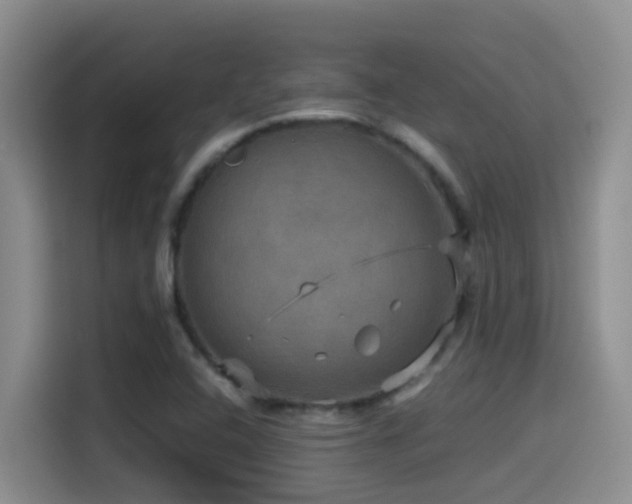 X0000114561408200910191422