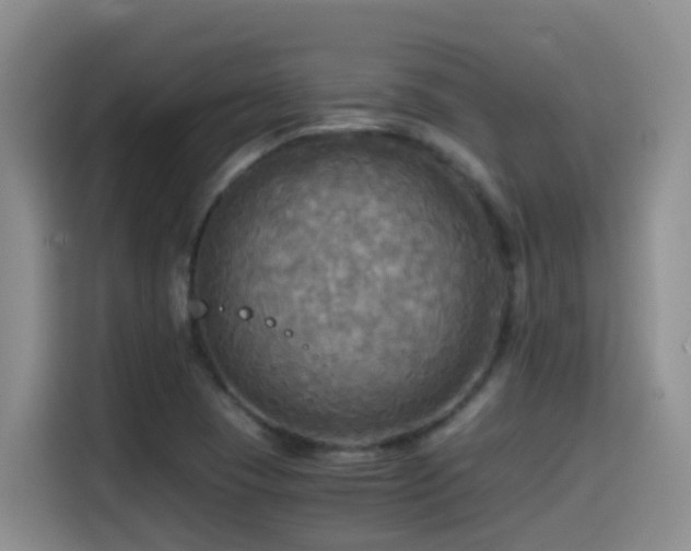 X0000114561409200910191422