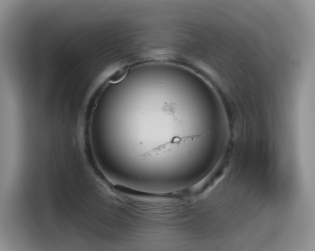 X0000114561410200910191422