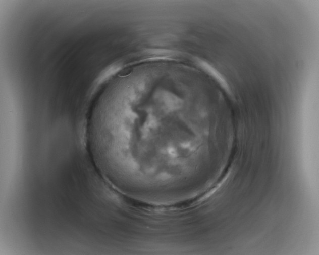 X0000114561411200910191422
