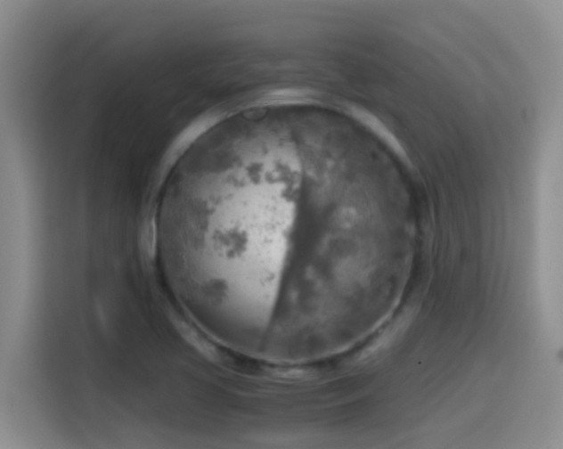 X0000114561413200910191422