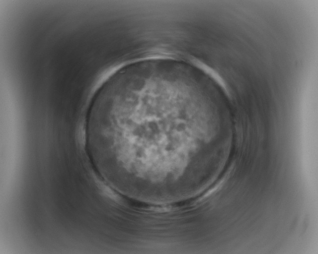 X0000114561415200910191422