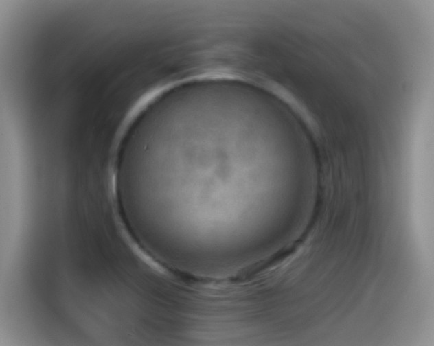 X0000114561416200910191422