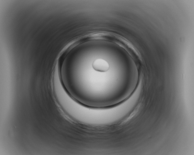 X0000114561417200910191422