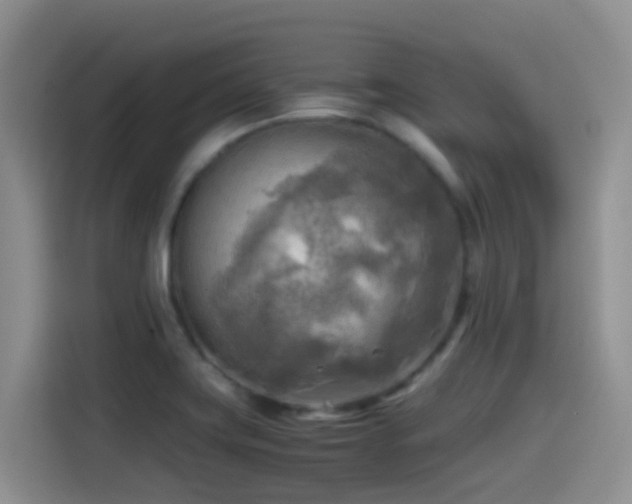 X0000114561419200910191422