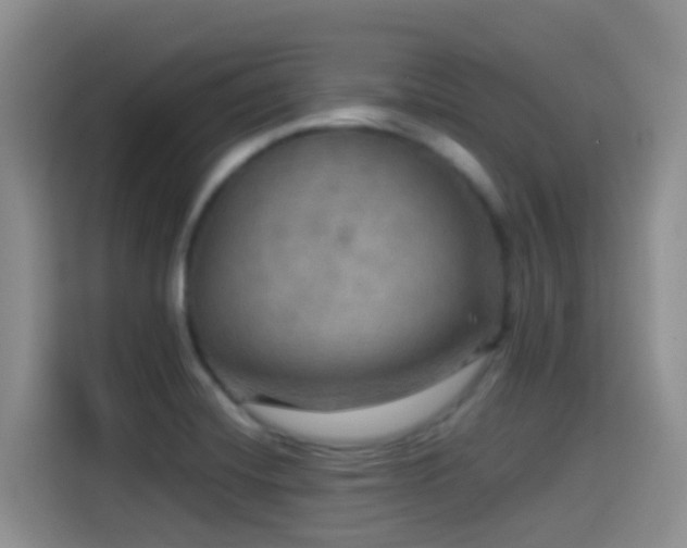 X0000114561420200910191422