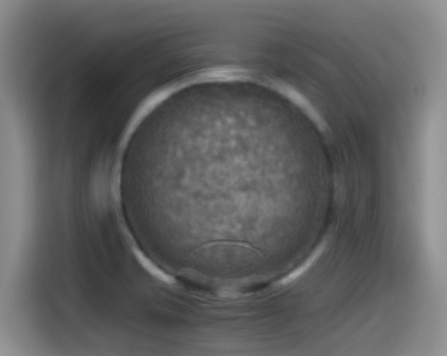 X0000114561421200910191422