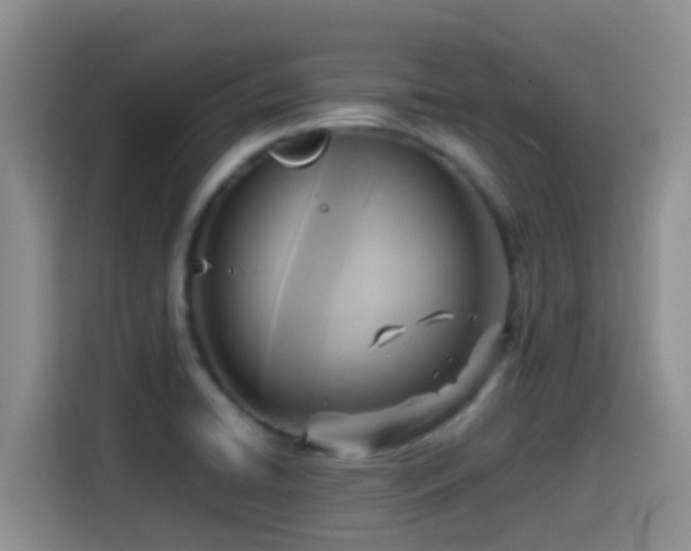 X0000114561422200910191422