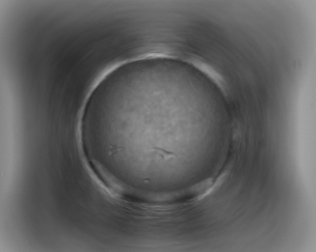 X0000114561423200910191422