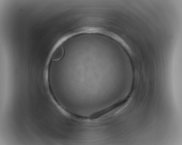 X0000114561424200910191422