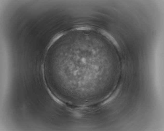 X0000114561425200910191422