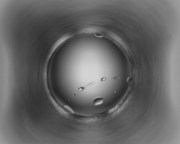 X0000114561426200910191422